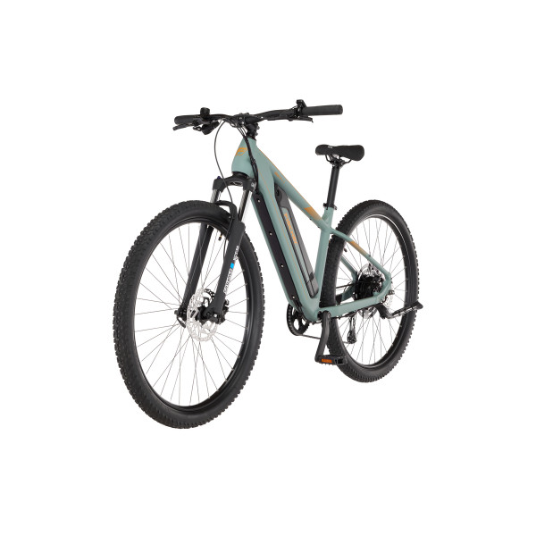 FISCHER MTB E-Bike MONTIS 2.2 ACTIVE Piniengrün matt, 29 Zoll, RH 49 cm, 688 Wh