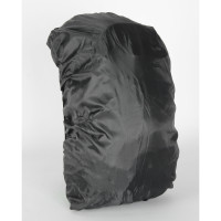 Image6