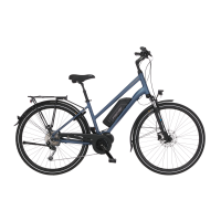FISCHER Damen Trekking E-Bike ETD 1820.1 - 557 Wh, 28 Zoll, RH 44 cm, Generalüberholt
