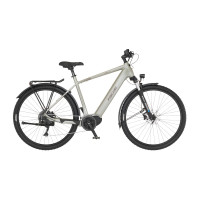 FISCHER All Terrain E-Bike Terra 4.0i - grau, RH 55 cm, 29 Zoll, 630 Wh