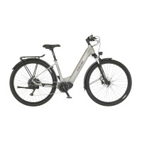 FISCHER All Terrain E-Bike Terra 4.0i - grau, RH 43 cm, 29 Zoll, 630 Wh